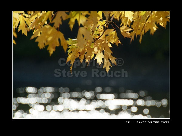 images/watermarked/RhythmOfLight/Rhythm 009(Sides 17-18).jpg